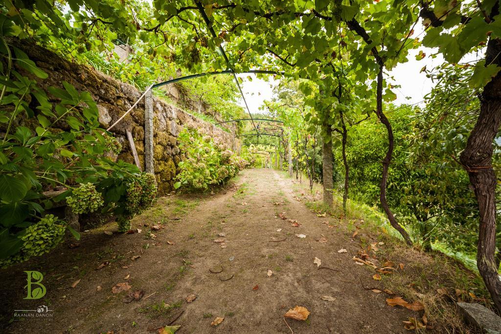 Quinta Da Bouca - Agroturismo Pacos de Gaiolo Phòng bức ảnh