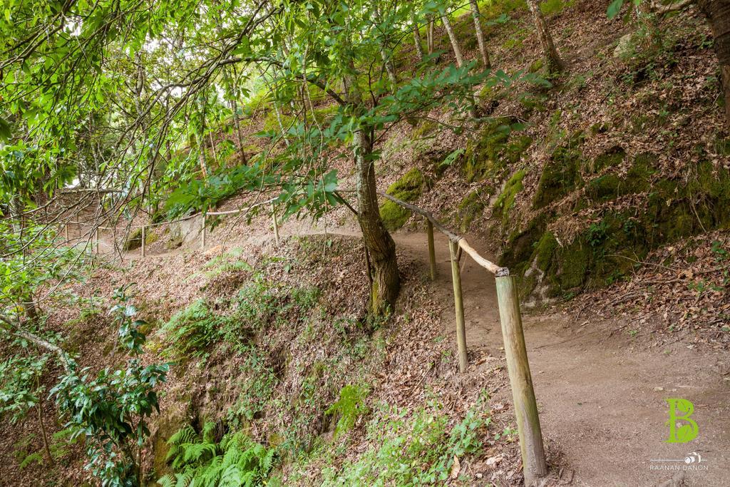 Quinta Da Bouca - Agroturismo Pacos de Gaiolo Phòng bức ảnh