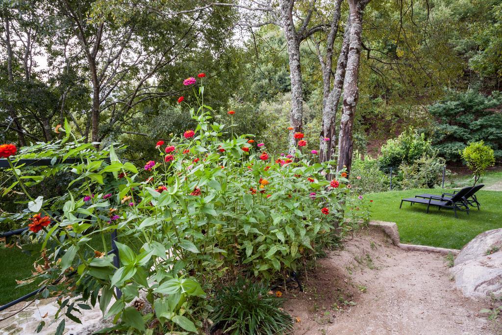 Quinta Da Bouca - Agroturismo Pacos de Gaiolo Phòng bức ảnh